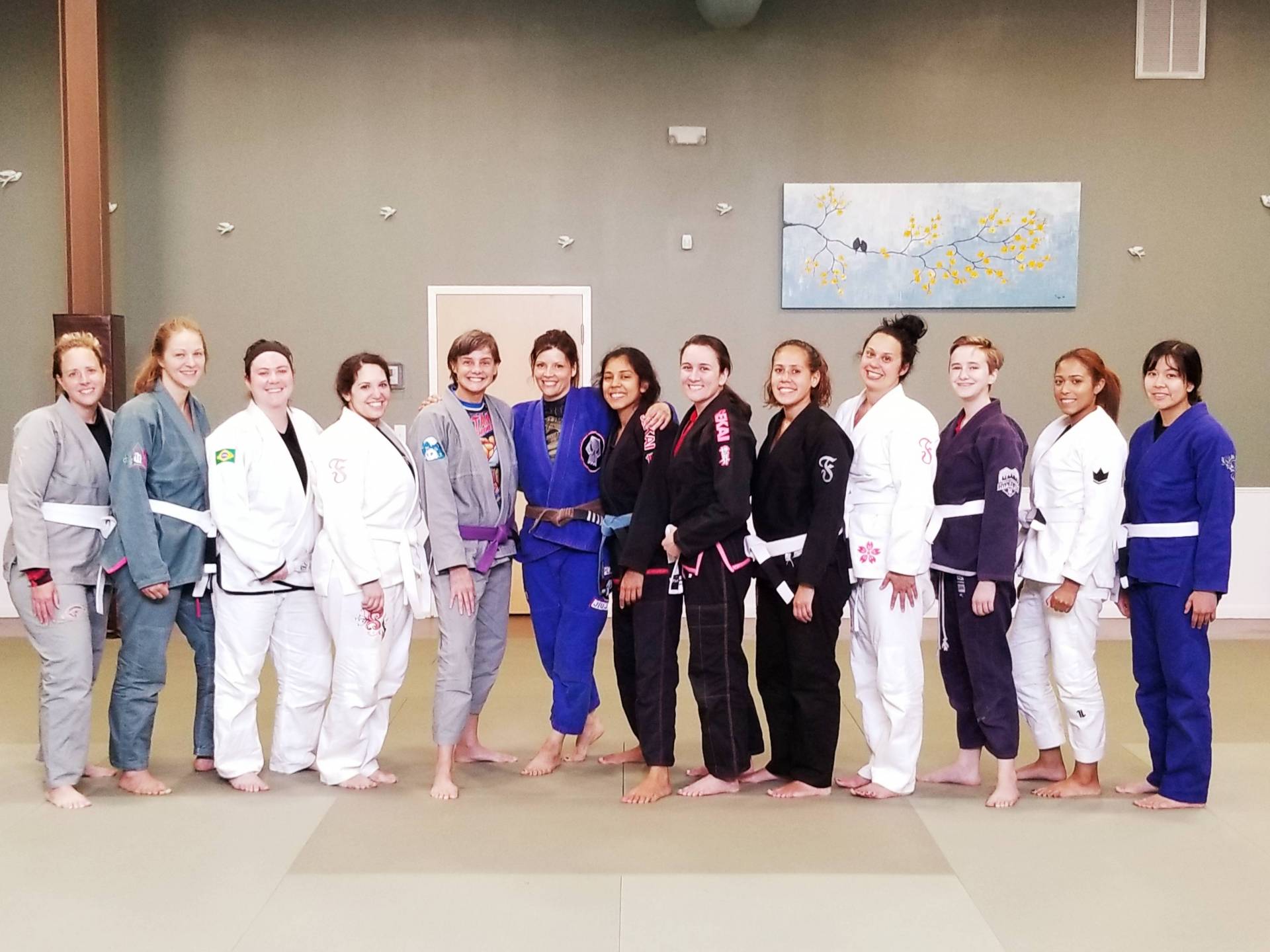 Women's Brazilian Jiu Jitsu and Self Defense Classes in CT • Plus One