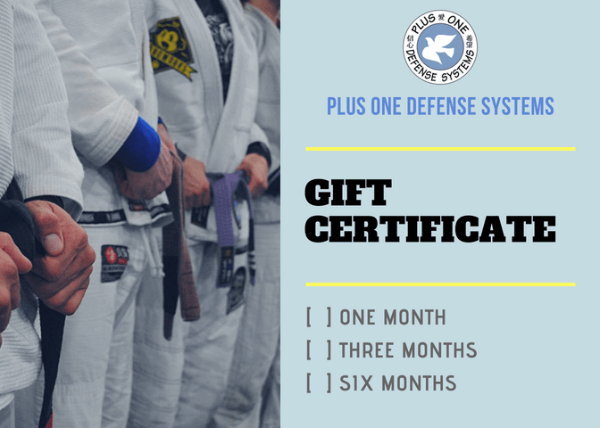Martial Arts Training Gift Certificate